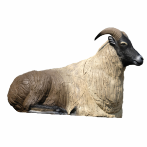 Himalayan Tahr Bedded Target