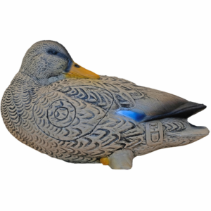 SRT Polar Rabbit 3D Target