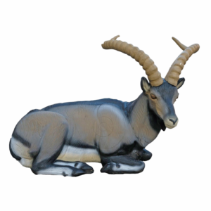 Iberian Ibex Bedded